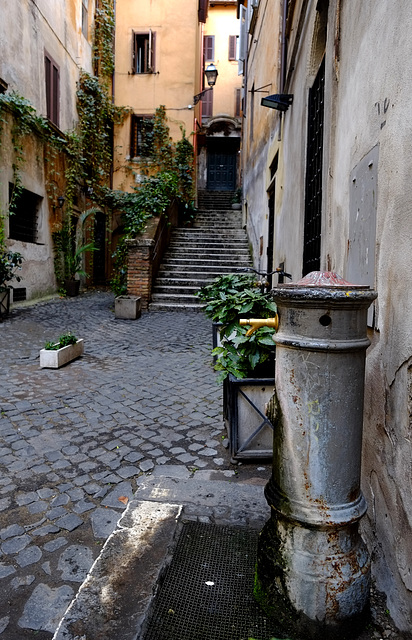 Rome Honeymoon Fuji XE-1 Roman Alley 1