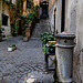 Rome Honeymoon Fuji XE-1 Roman Alley 1