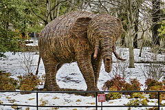 Please Don't Feed the Elephant – National Zoo, Washington, DC