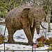 Please Don't Feed the Elephant – National Zoo, Washington, DC