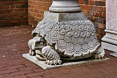 Tortoise Plinth – Entrance to the Reptile House, National Zoo, Washington, DC