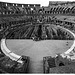 Rome Honeymoon Fuji XE-1 Colosseum 5