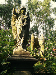 abney park cemetery, hackney, london,these angels are close to the south gates