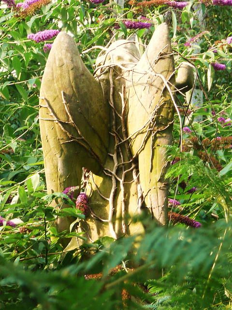 abney park cemetery, hackney, london,this c19 angel seems earthbound by ivy