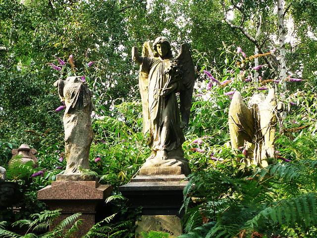 abney park cemetery, hackney, london,these angels are close to the south gates