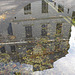 Reflection in a puddle