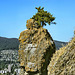 The King of the Castle – Siwash Rock, Stanley Park, Vancouver, British Columbia