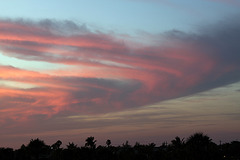 Curvilinear cloud