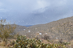 Snowfall - Tucson, Arizona