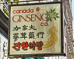 Canada Ginseng Company Sign – East Hastings Street between Carrall and Columbia, Vancouver, British Columbia