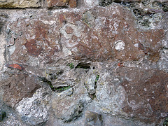 Rock Wall Texture 5