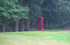 Telephone box in the woods