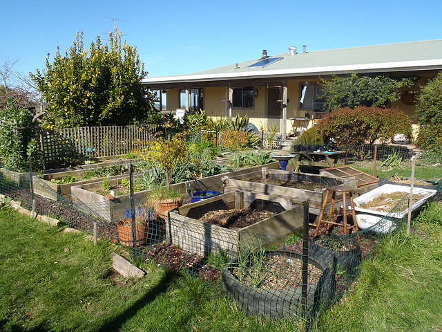 fenced vegie garden