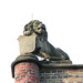 Things on rooftops: nr. 5  Lion Holding A Coat Of Arms
