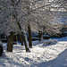 winter churchyard