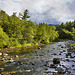 East Branch of the Ausable River – Keene, New York