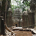 Ta Prohm- Reclaimed by the Jungle #1