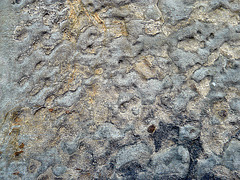 Rock Wall Texture 4