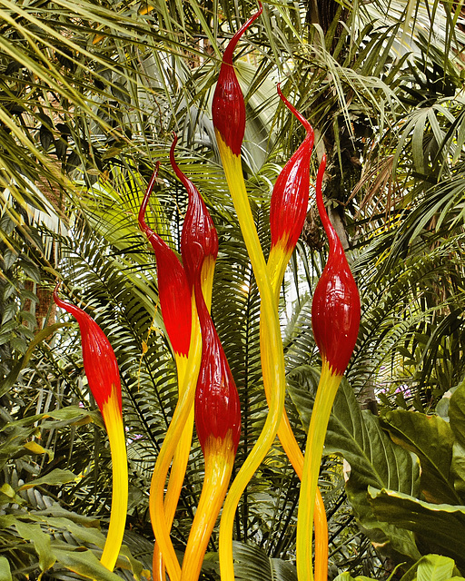Chihuly "Paint Brushes" – Phipps Conservatory, Pittsburgh, Pennsylvania