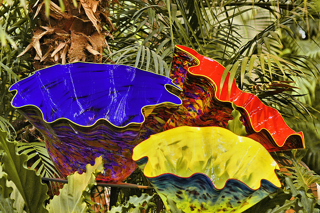 Chihuly "Macchia Forest" – Phipps Conservatory, Pittsburgh, Pennsylvania