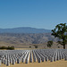 Bakersfield National Cemetery (1519)