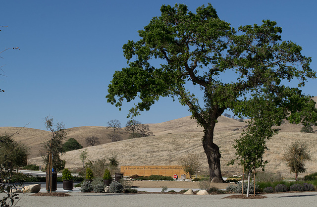 Bakersfield National Cemetery (1520)
