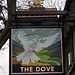 'The Dove'