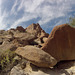 Petroglyph Canyon (114500)