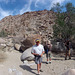 Petroglyph Canyon (114850)