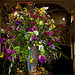 Spring flower bouquet in an old palace