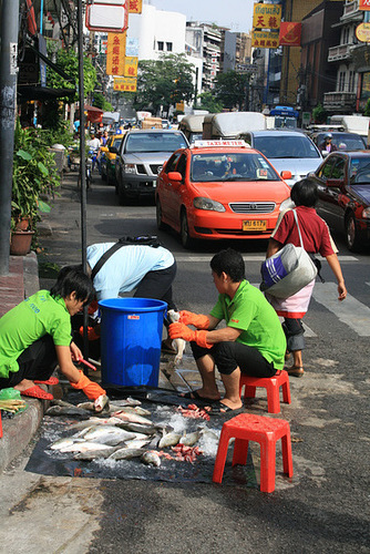 Cleaning Fish