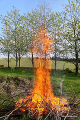Spring Bonfire Series 1-6