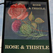 'Rose and Thistle'