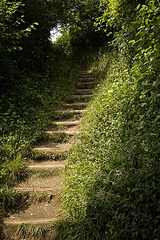Stairway to Devon