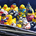 Duckies on the Dashboard