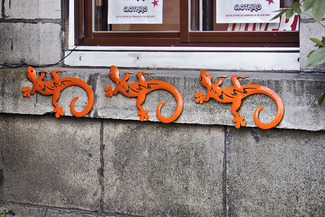 Leapin' Lizards, Take 2 – Saint-Denis Street, Montréal, Québec