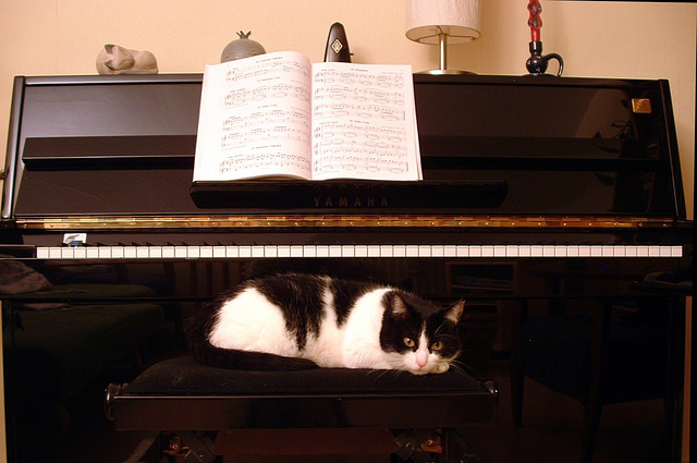 Lola et le piano