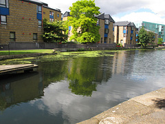 Regent's Canal, Mile End