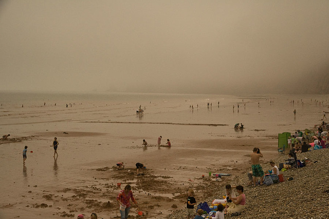 Fog at the beach