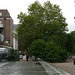 Torrington Square, tree obscures view of church