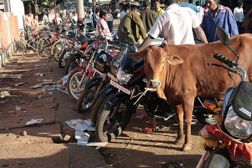 Illegally Parked