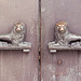 Door handles of the National Theatre in Munich