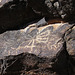Petroglyph (090420)