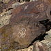 Petroglyph (090852)