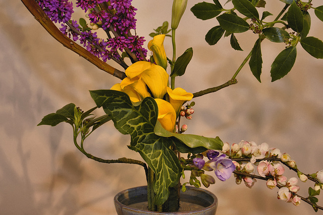 Calla Lily Arrangement – Ikebana Exhibition, National Arboretum, Washington D.C.