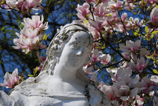 Magnolia statue