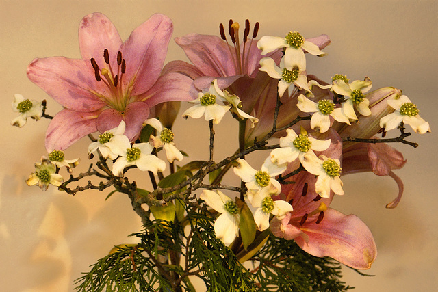 Pink Lilies – Ikebana Exhibition, National Arboretum, Washington D.C.