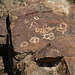 Petroglyph (091245)