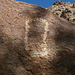 Petroglyph (095223)