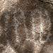 Petroglyph (095230)